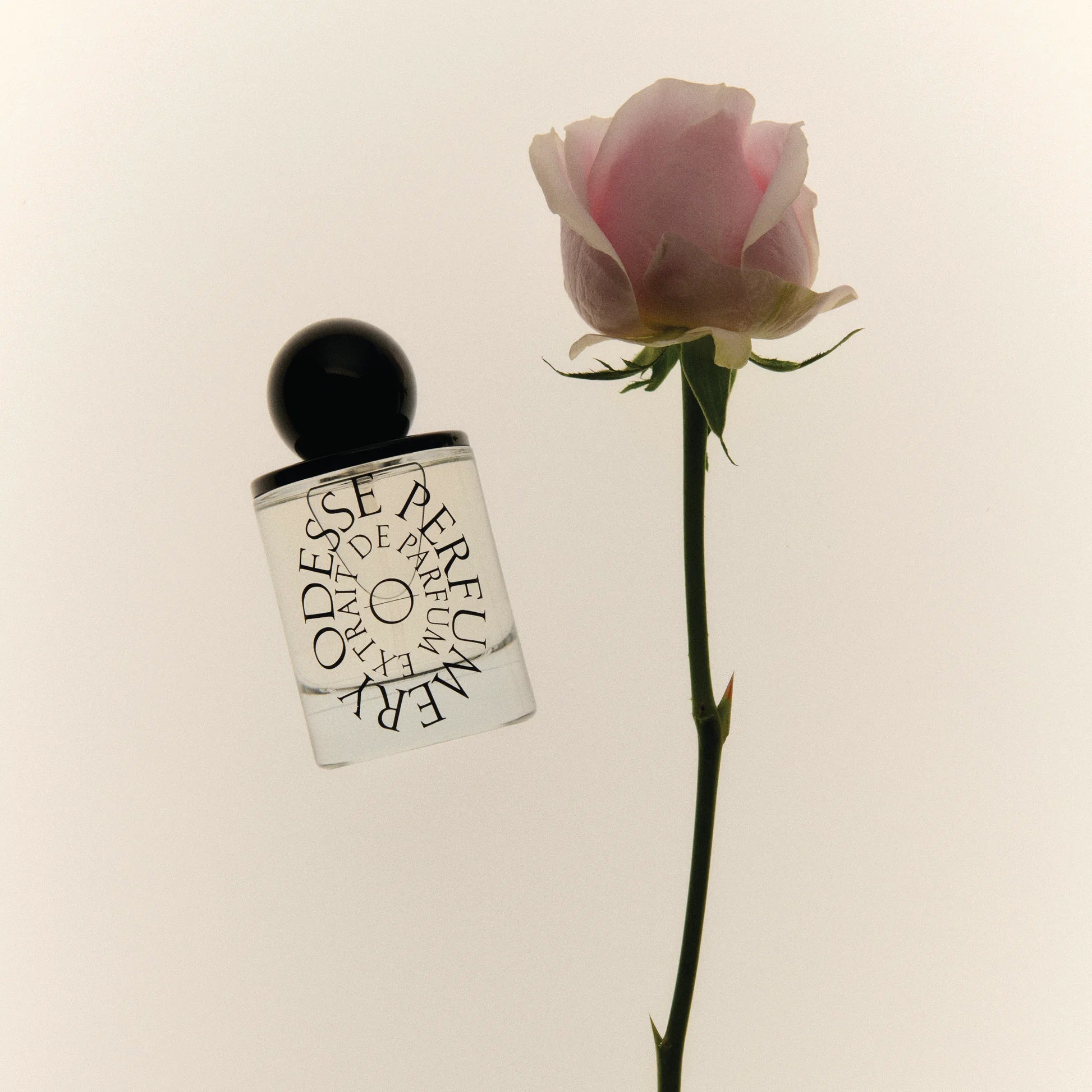 Odesse Rose Wood
