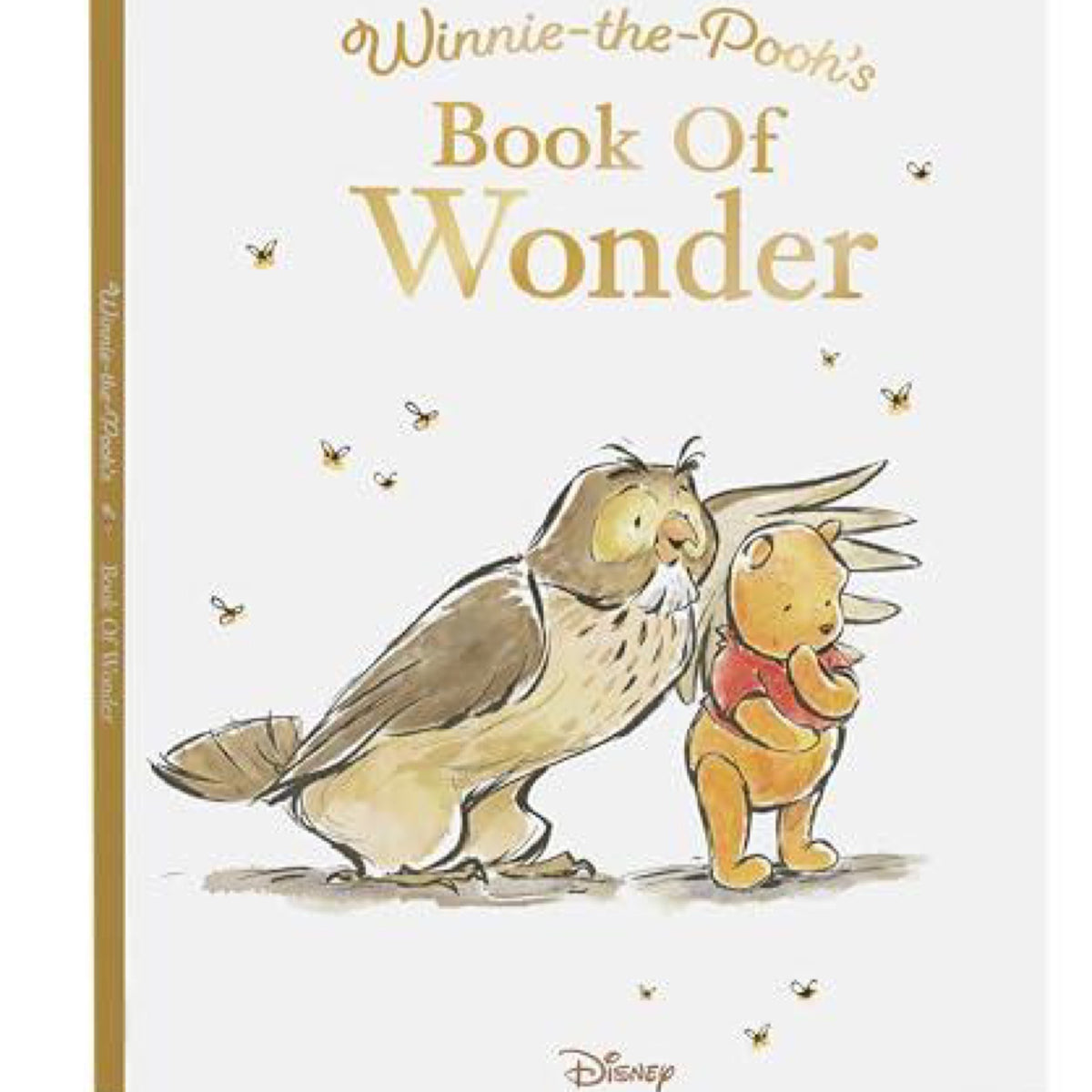 Winnie-the-Pooh’s Book of Wonder
